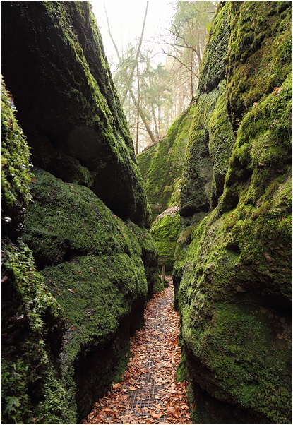 Die Drachenschlucht bei Eisenach #02