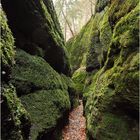 Die Drachenschlucht bei Eisenach #02