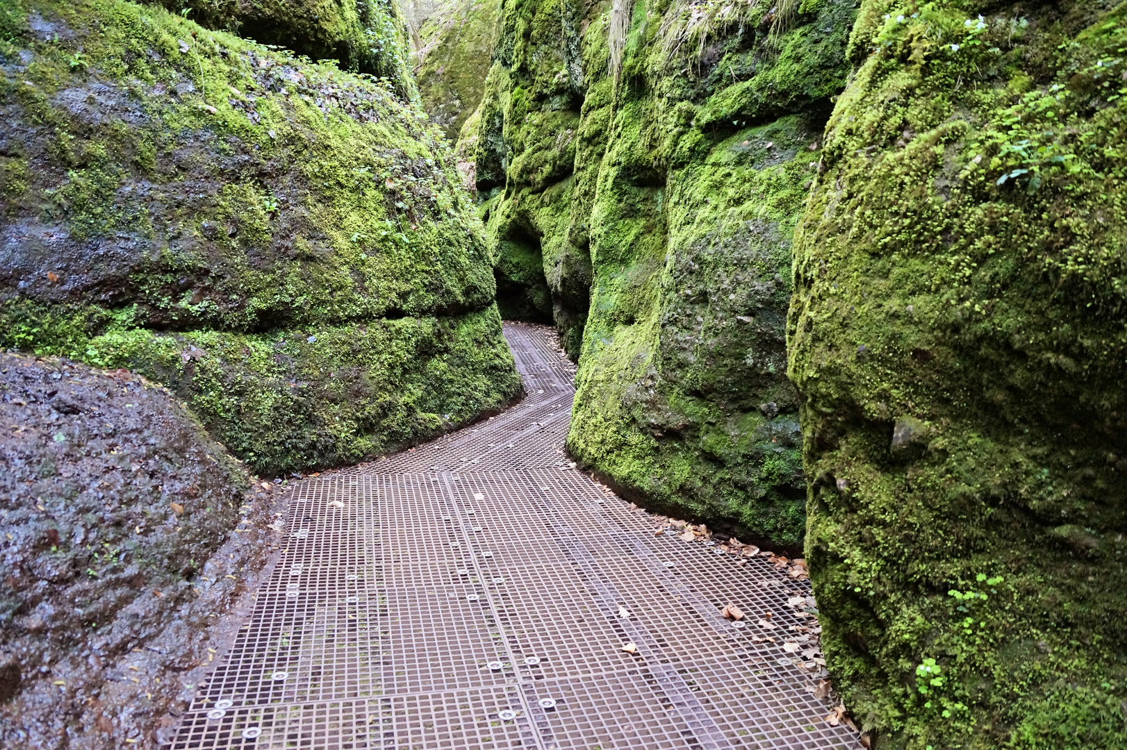 Die Drachenschlucht in Eisennach