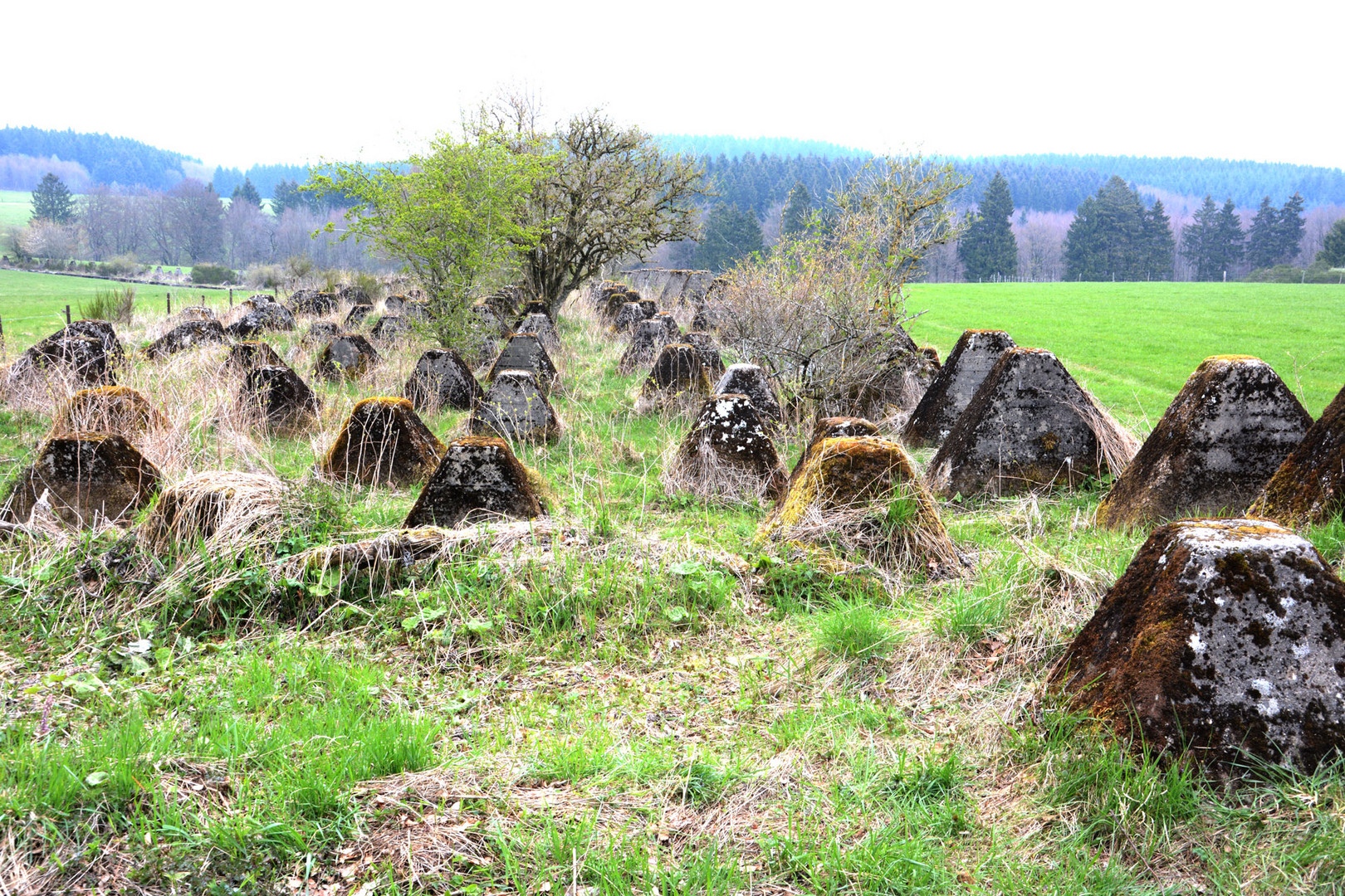 Die Drachenzähne am Westwall