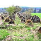 Die Drachenzähne am Westwall