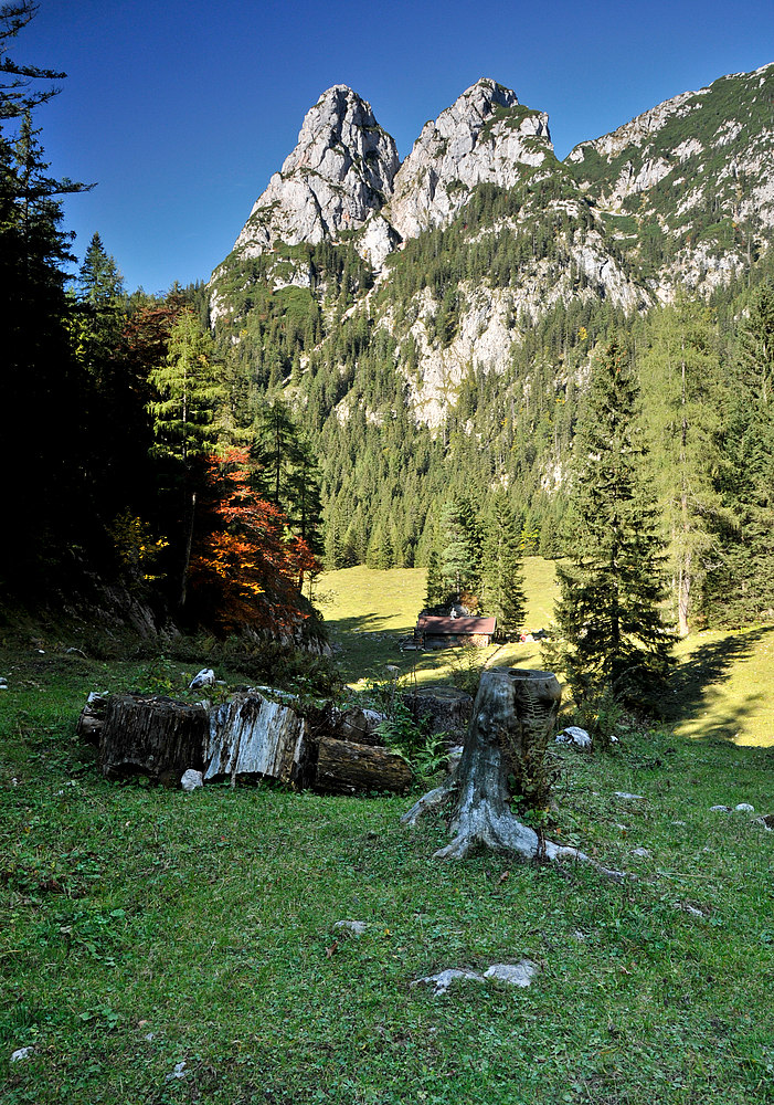 die drei Brüder mit der Alpa Alm