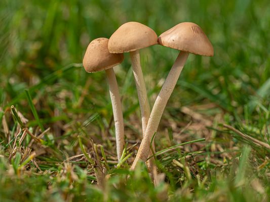 Spezial Bilder & Fotos