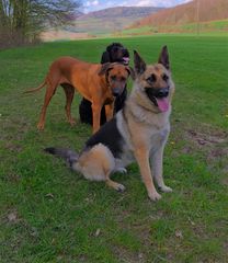 die drei Freundinnen (las tres amigas)