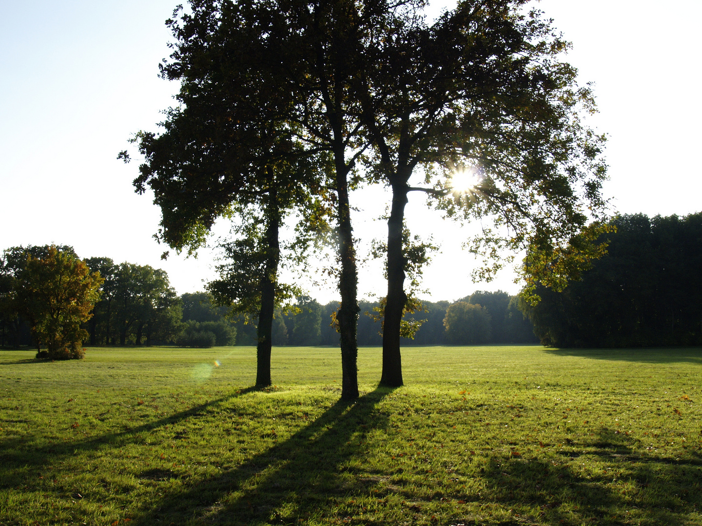 Die Drei im Park