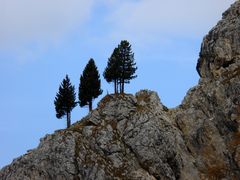 Die drei Musketiere oder Bäume im Felsgebirge