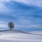 Die drei Standhaften bei guter Stimmung