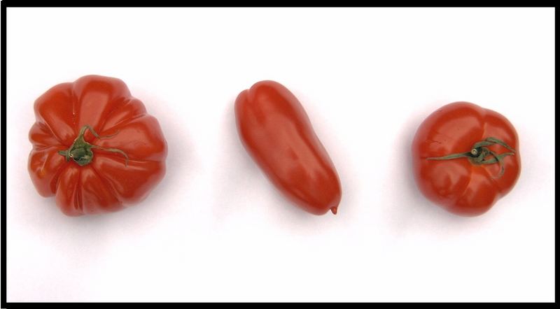 "Die drei Tomaten Arten"