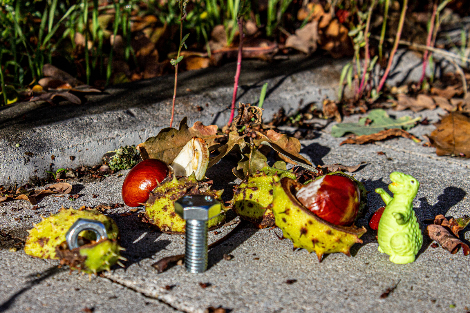 Die Drei ... Unter einem Kastanienbaum ...