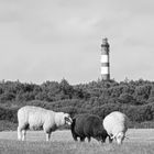 die Drei vom Leuchtturm