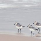 Die drei vom Nordseestrand