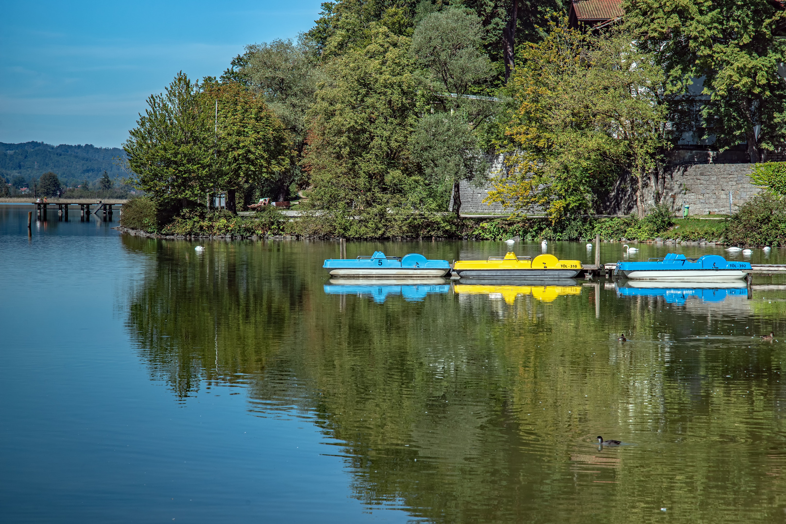 Die drei vom See