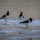 Die drei vom Strand