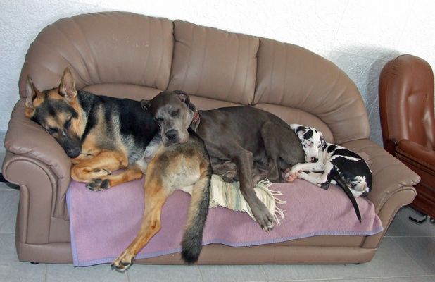 Die Drei von der Tankstelle.