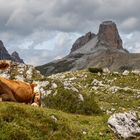 Die "Drei Zinnen"