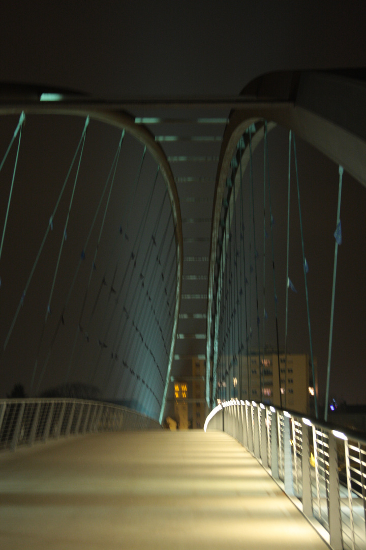 Die Dreiländerbrücke in Weil am Rhein