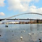 Die *Dreiländerbrücke* - Weltrekord !