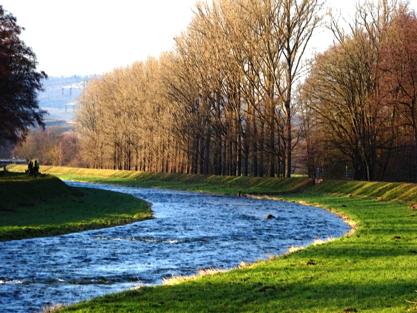 Die Dreisam im Januar