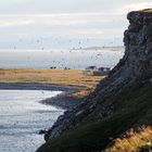 Die Dreizehenmöwenkolonie Varanger Ekkerøy