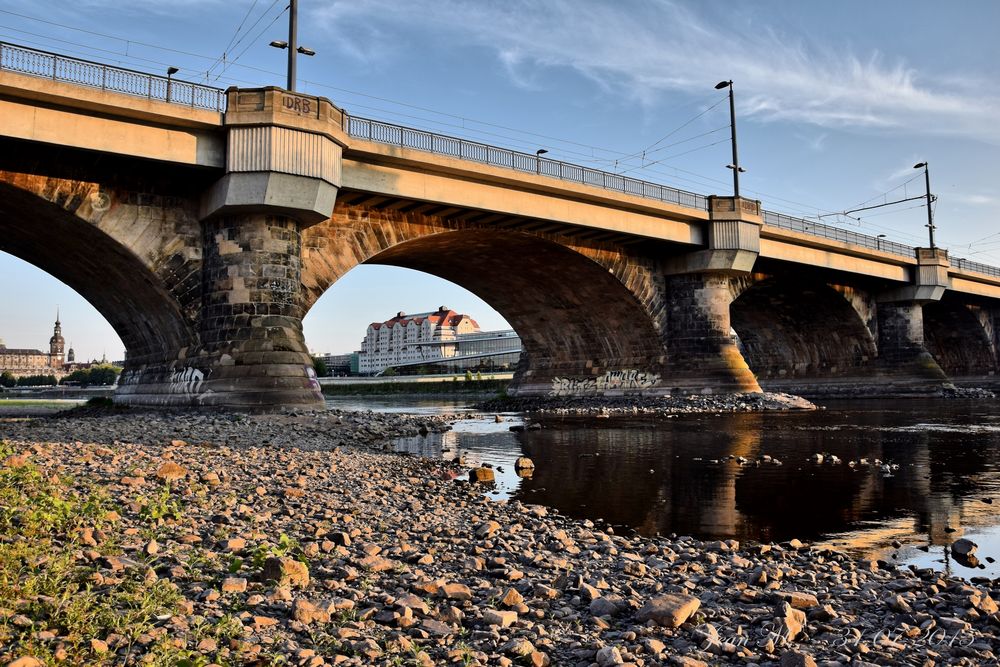 Die Dresdner Marienbrücke steht fasst auf dem Trockenen.