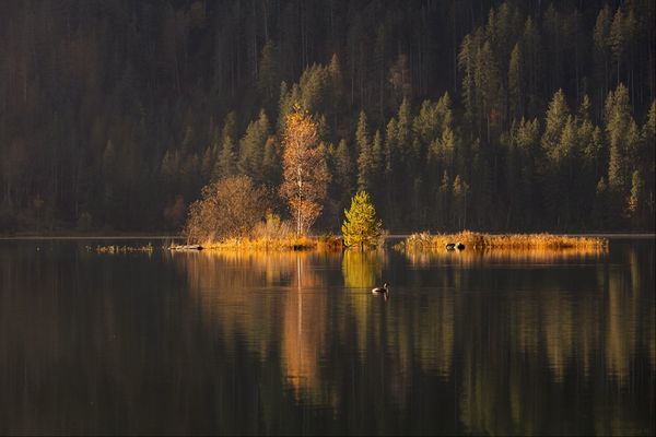 *Die dritte Jahreszeit*