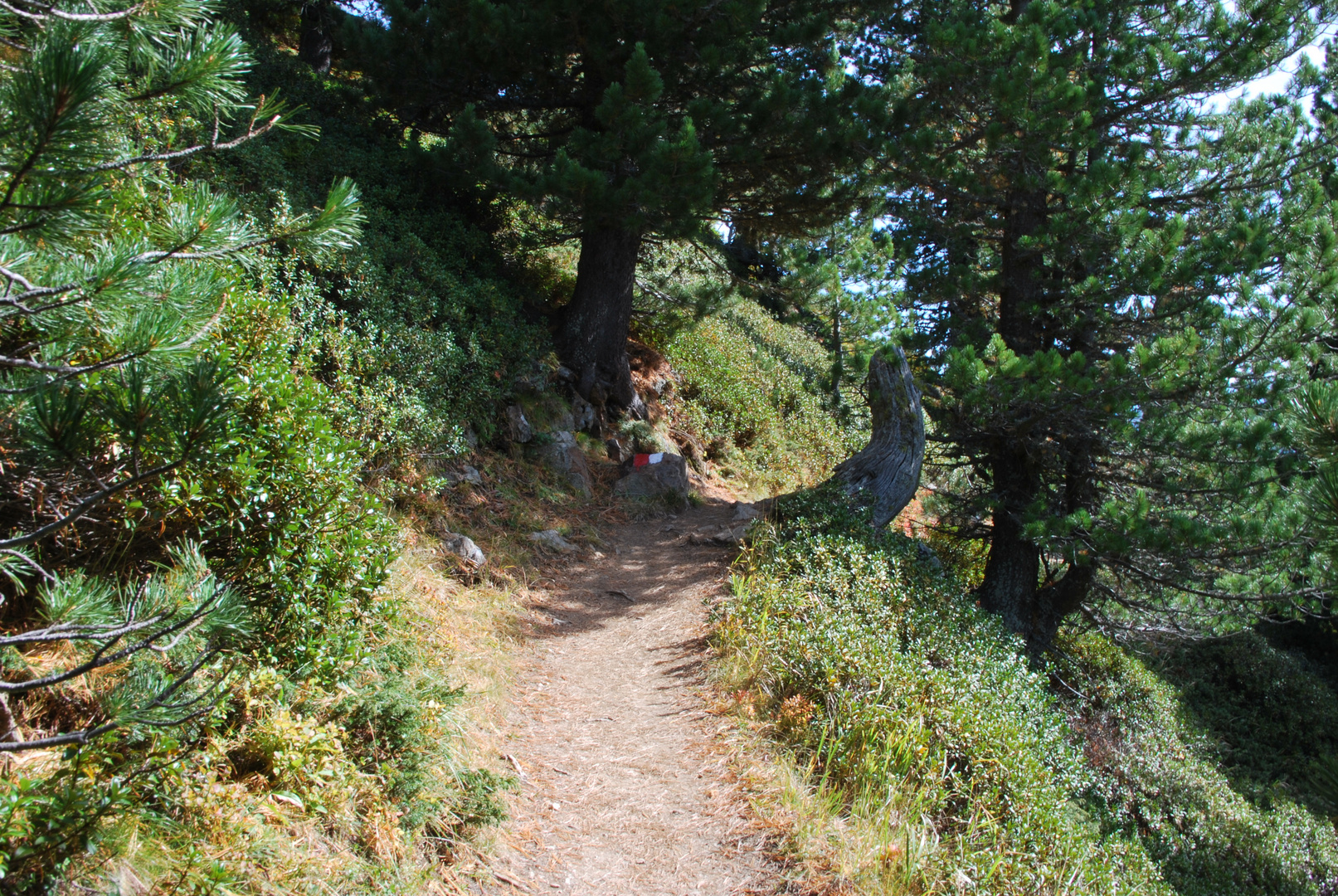 Die dritte Wanderung und immer noch keine Blasen an den Füssen