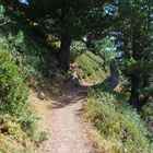 Die dritte Wanderung und immer noch keine Blasen an den Füssen