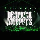 Die Dropkick Murphys in Chemnitz war ein Hammer Abend ...