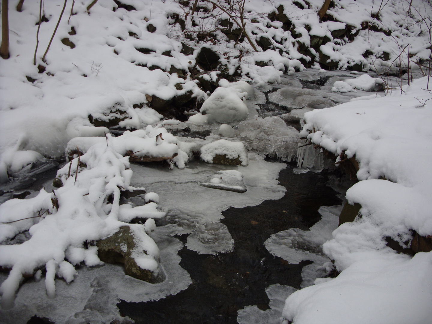 Die Drusel im Winter