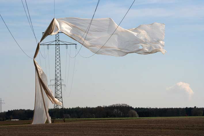 Die dümmsten Bauern...