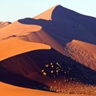 Die Dünen am Sossusvlei