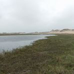 Die Dünen auf dem Weg nach Skagen.