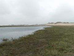 Die Dünen auf dem Weg nach Skagen.