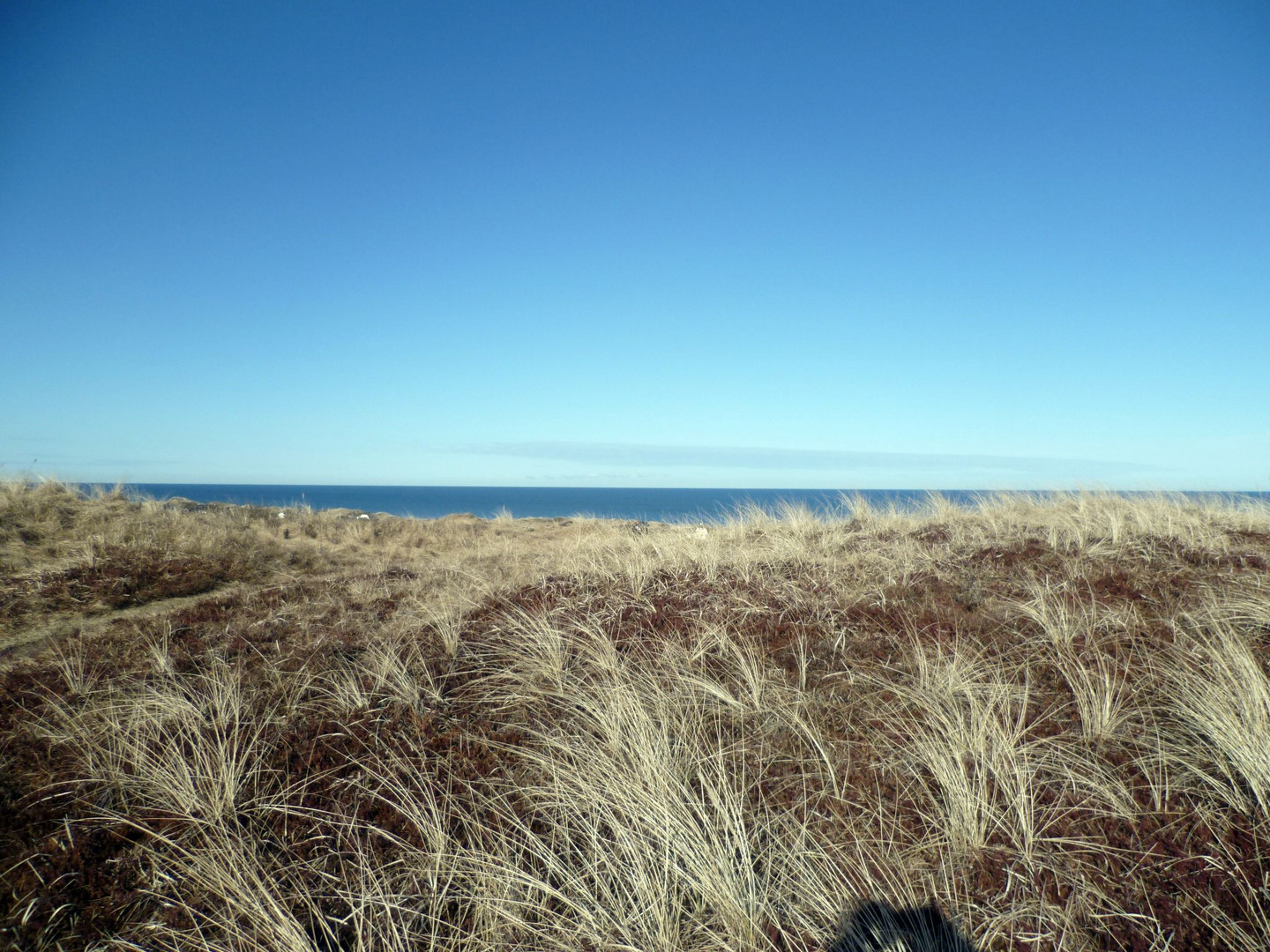 Die Dünen bei Blokhus