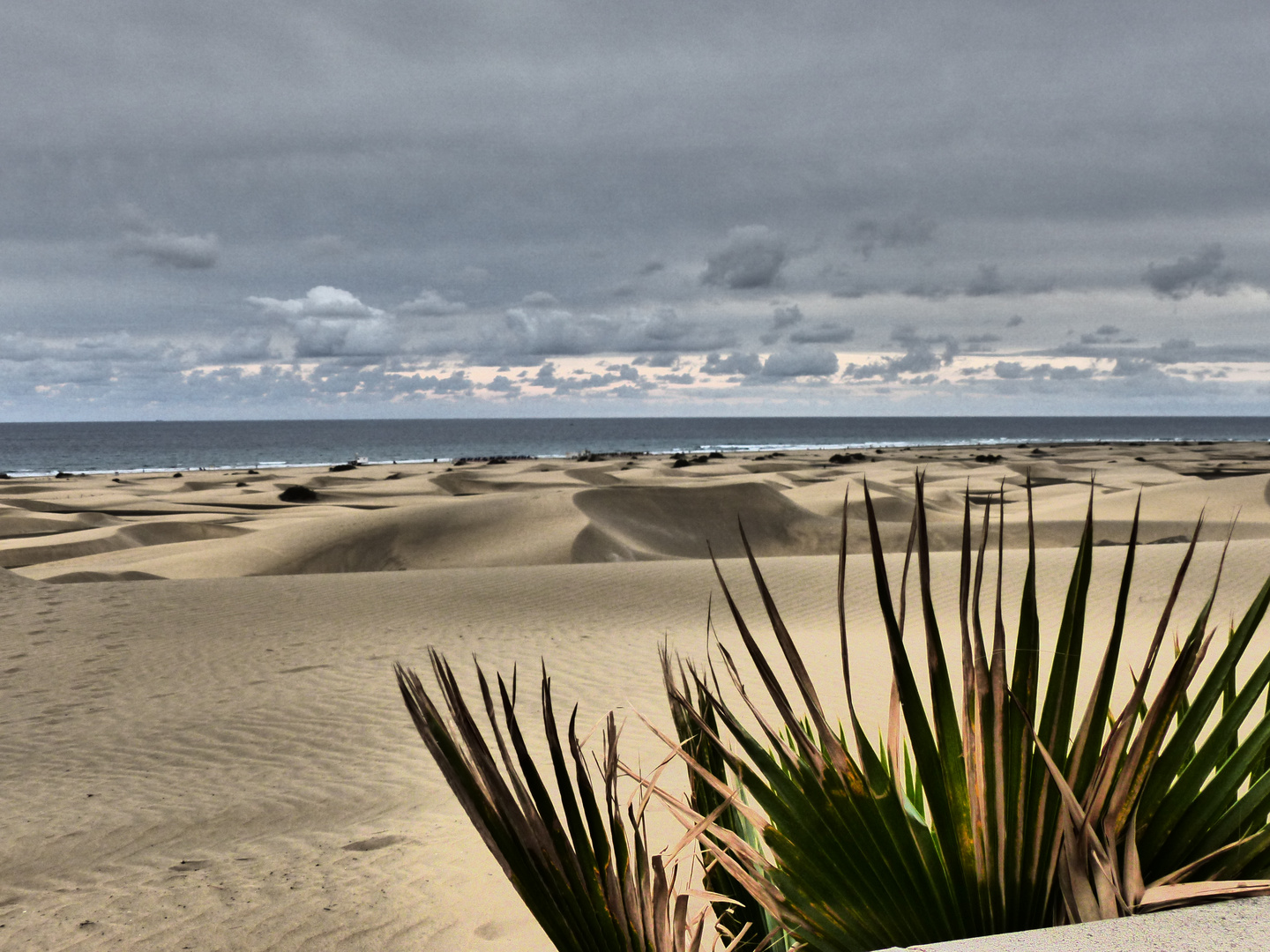 Die Dünen bei Maspalomas