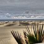 Die Dünen bei Maspalomas