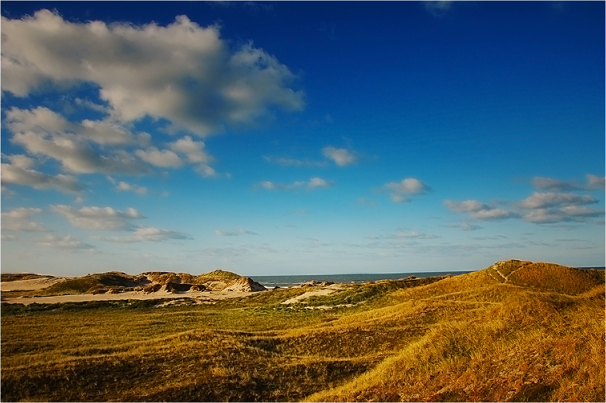 Die Dünen