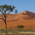 Die Dünen des Soussusvlei/Namibia