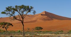 Die Dünen des Soussusvlei/Namibia