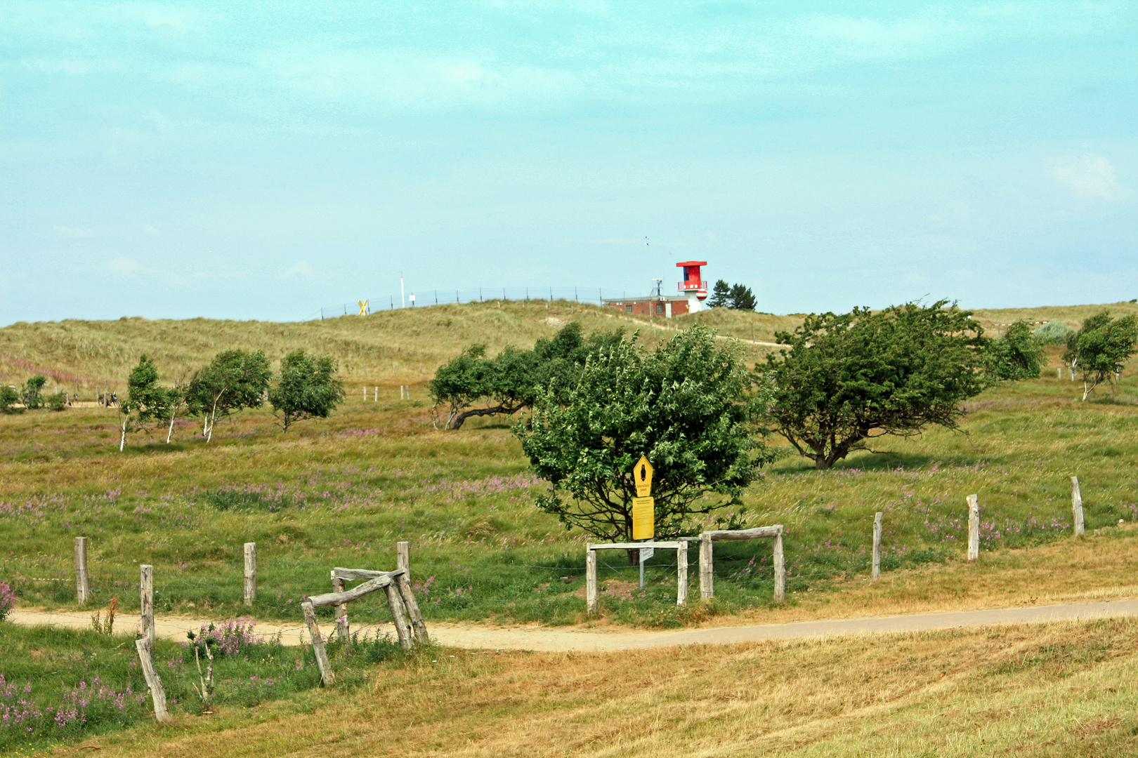 Die Dünen des Weissenhäuser Strands