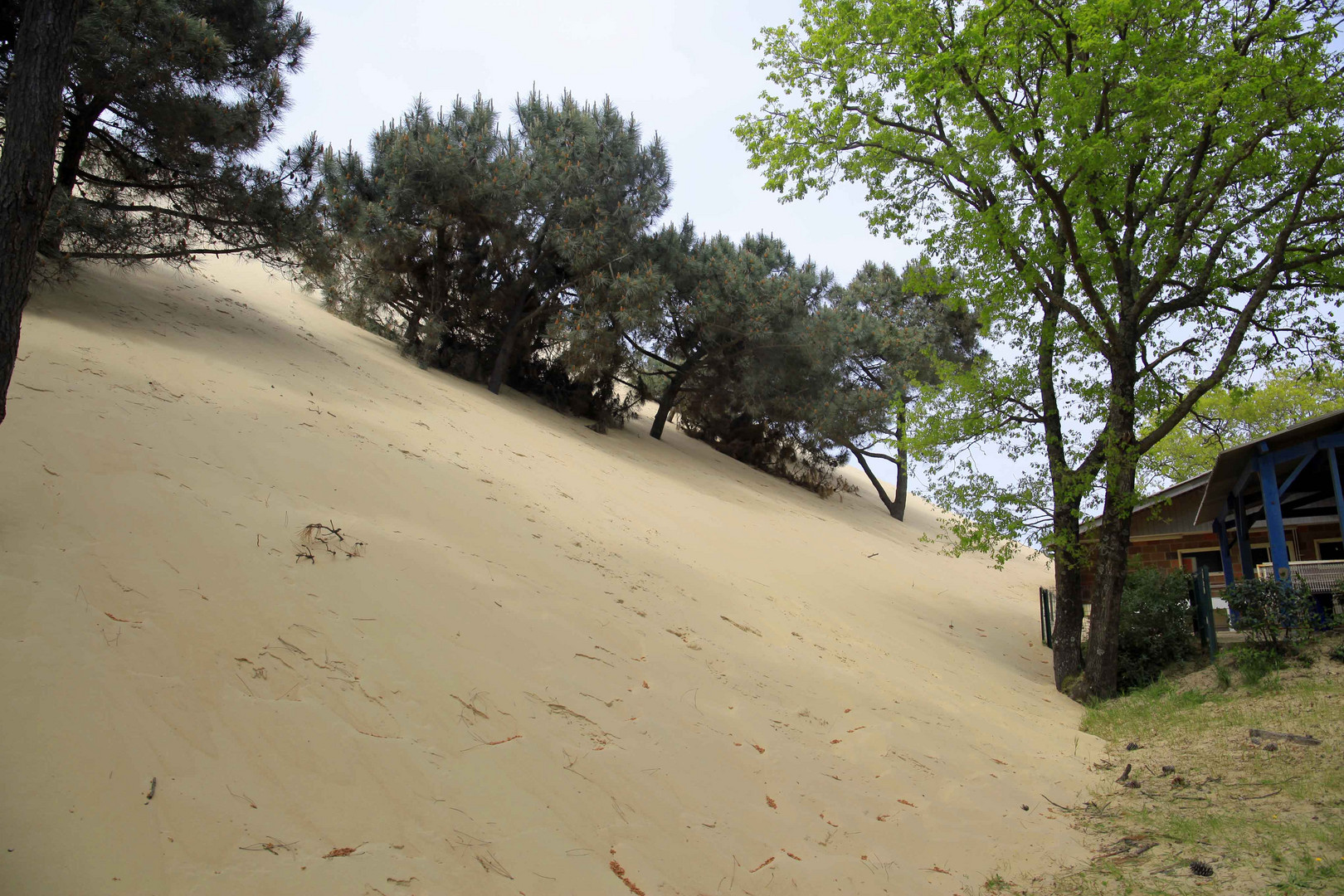 Die Dünen in Frankreich 