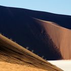 Die Dünen um das Death Vlei - unrasiert im Morgenlicht