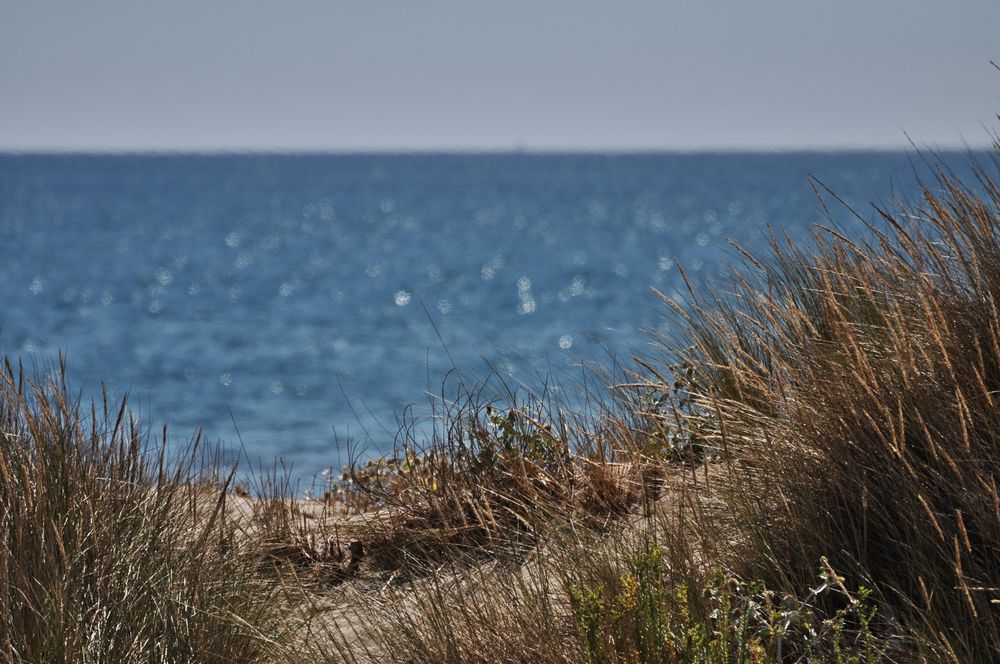 Die Dünen und das Meer