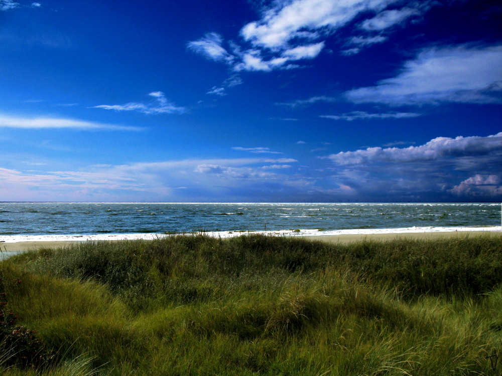 Die Dünen von Blavand