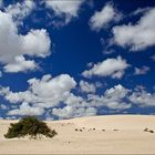 Die Dünen von Corralejo - Fuerteventura