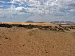 Die Dünen von Fuerteventura