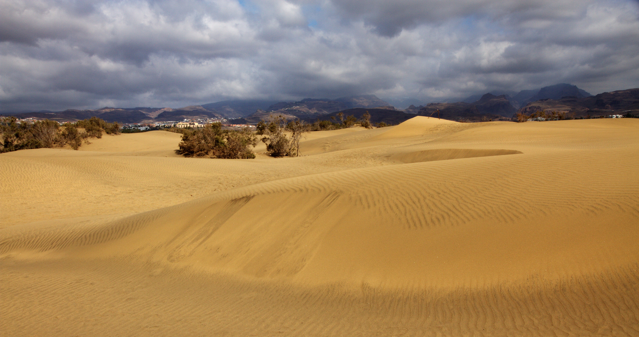 Die Dünen von Maspalomas (1)