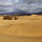 Die Dünen von Maspalomas (1)