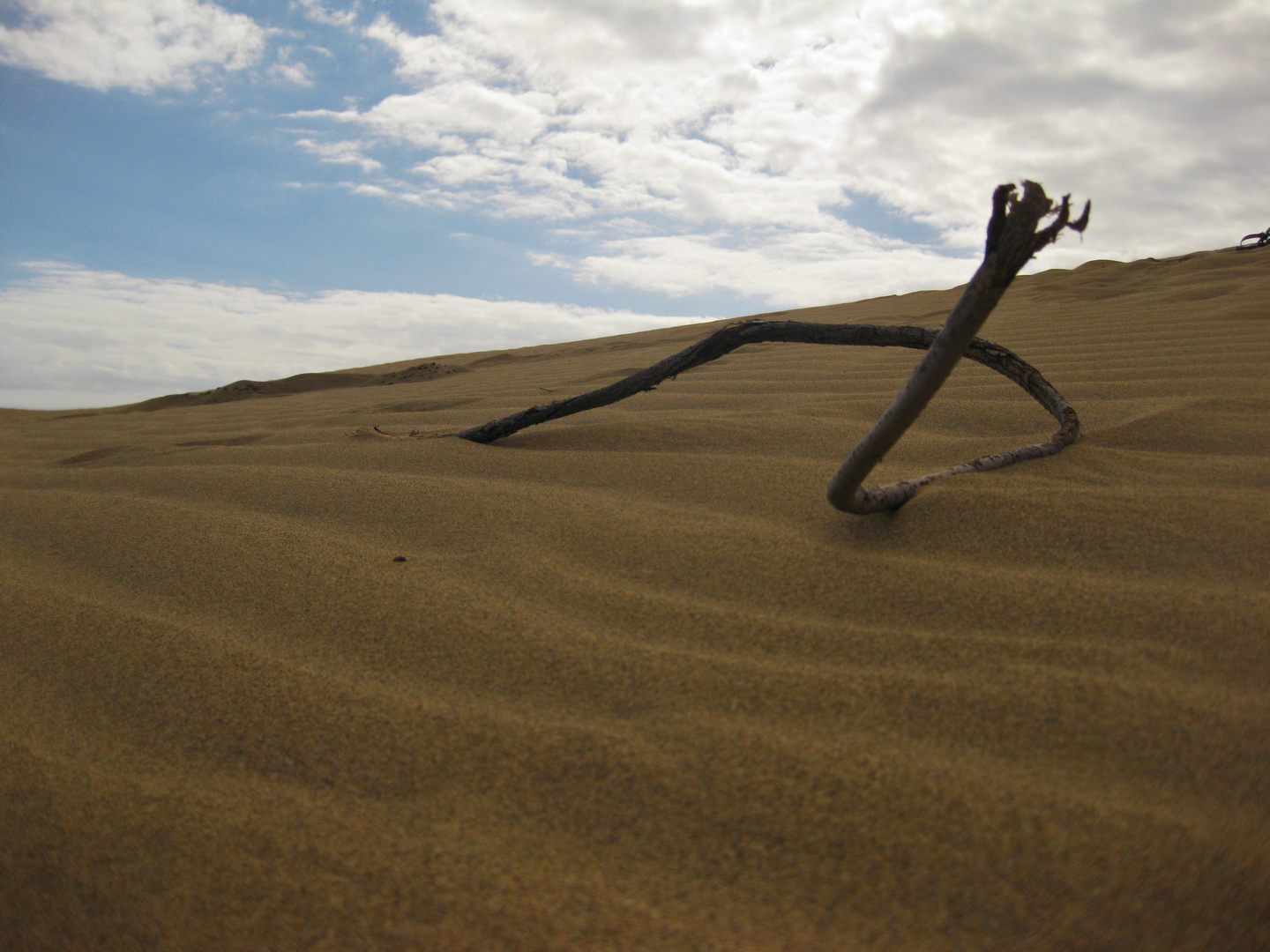 Die Dünen von Maspalomas