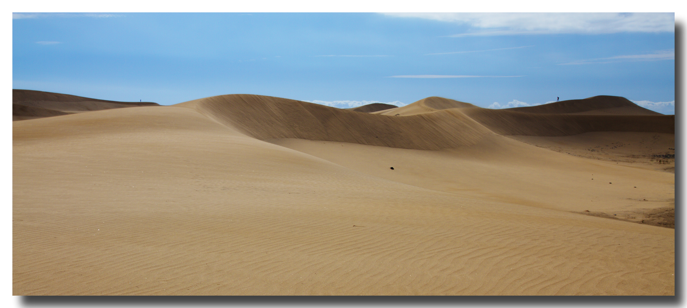 Die Dünen von Maspalomas (2)